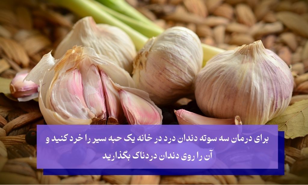 سیر مسکن قوی دندان درد خانگی با خاصیت ضدباکتریایی