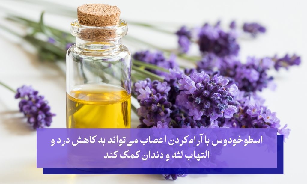 آرام‌بخش و ضد التهاب طبیعی برای درمان دندان درد در خانه