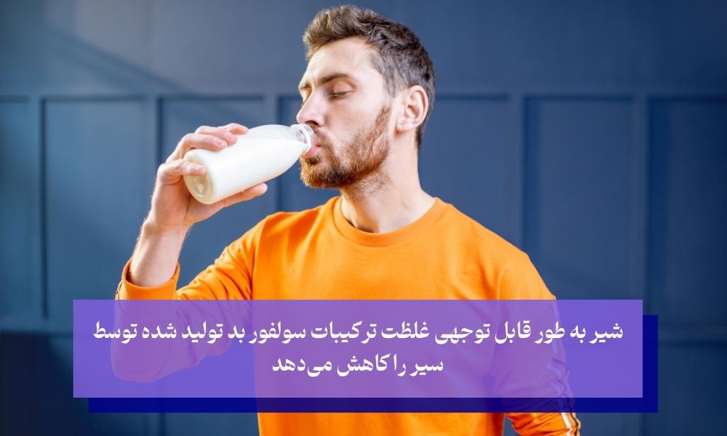 نوشیدن شیر پرچرب دشمن بوی سیر