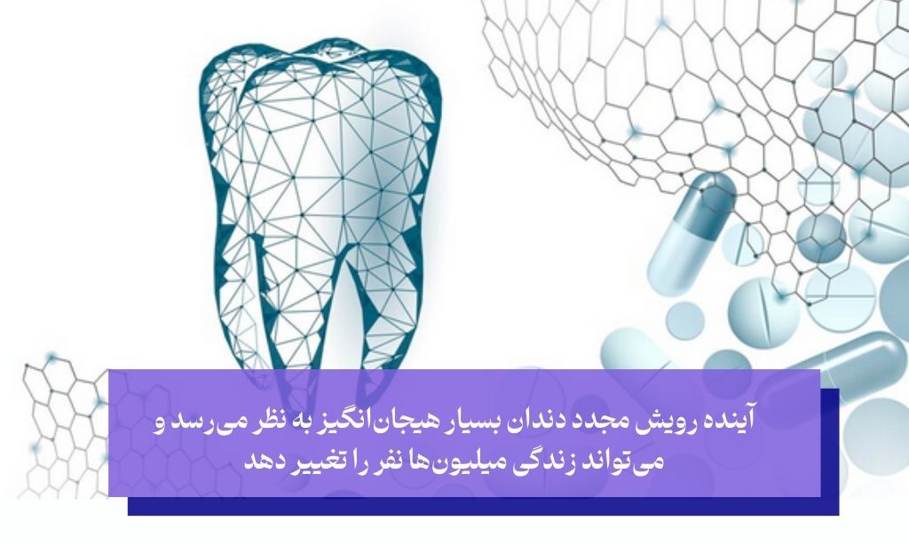 چشم‌انداز نهایی: آیا رویش مجدد دندان به زودی ممکن خواهد شد؟